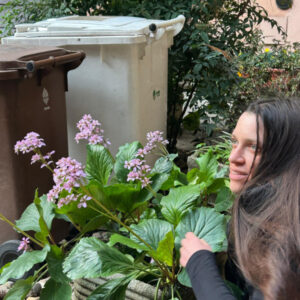 2026_Violante_Servidori_fm